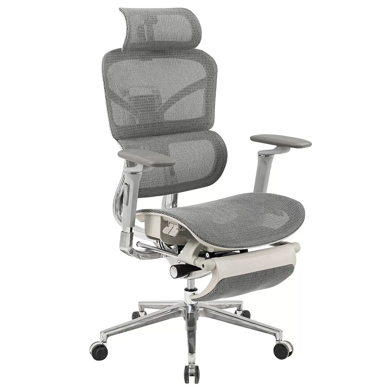 GHẾ CÔNG THÁI HỌC