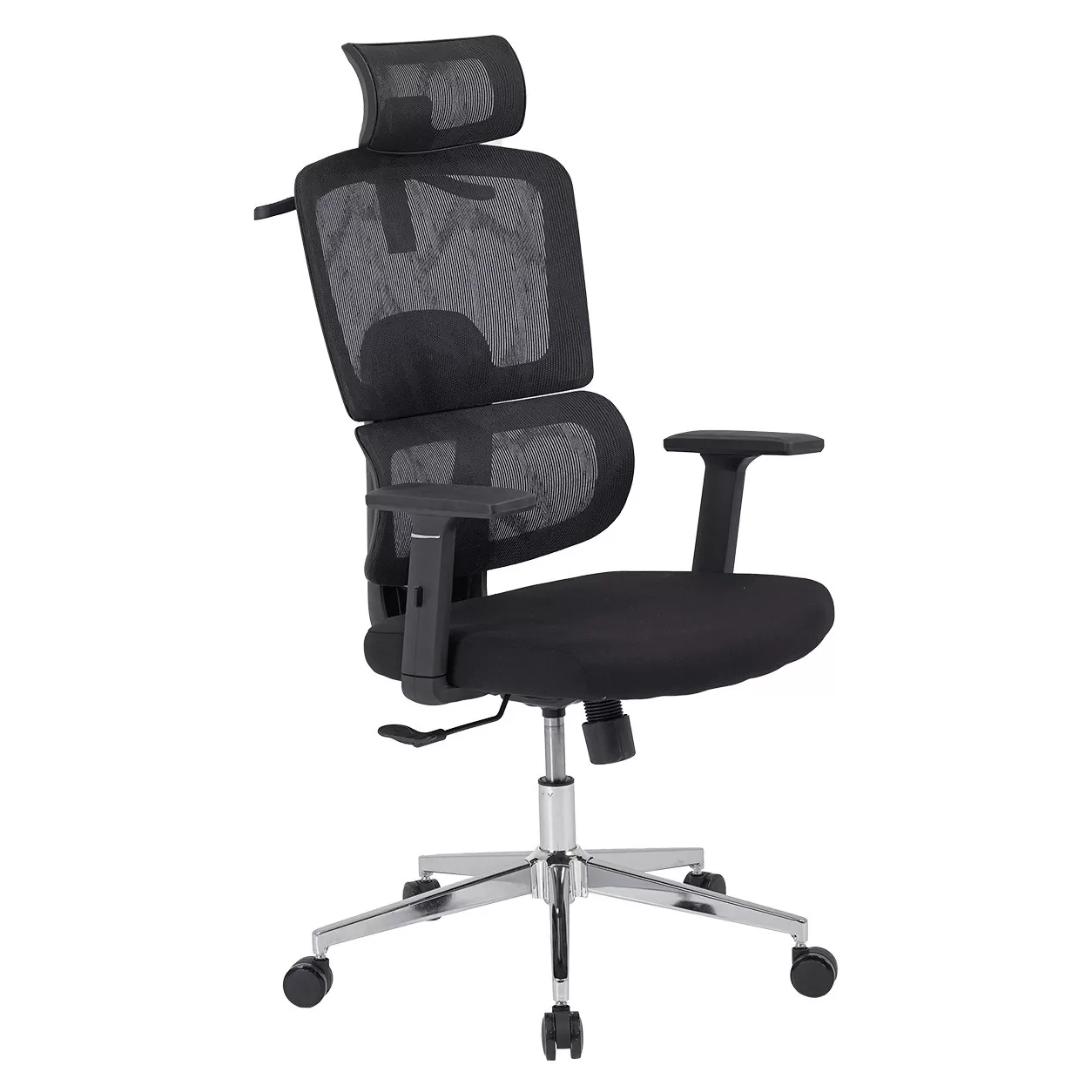 GHẾ CÔNG THÁI HỌC