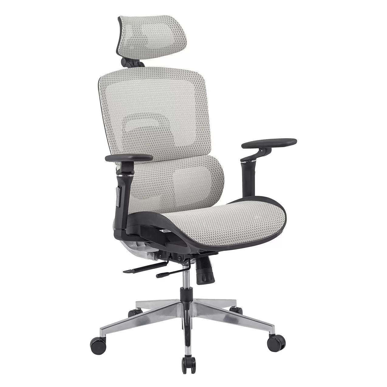 GHẾ CÔNG THÁI HỌC