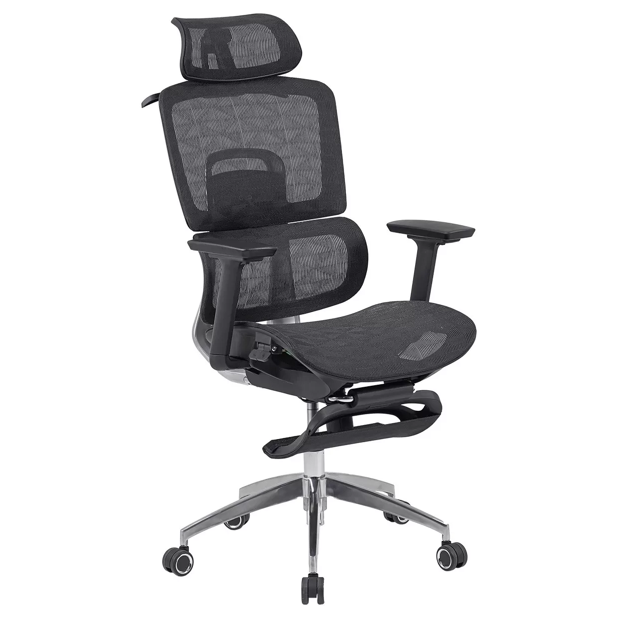 GHẾ CÔNG THÁI HỌC