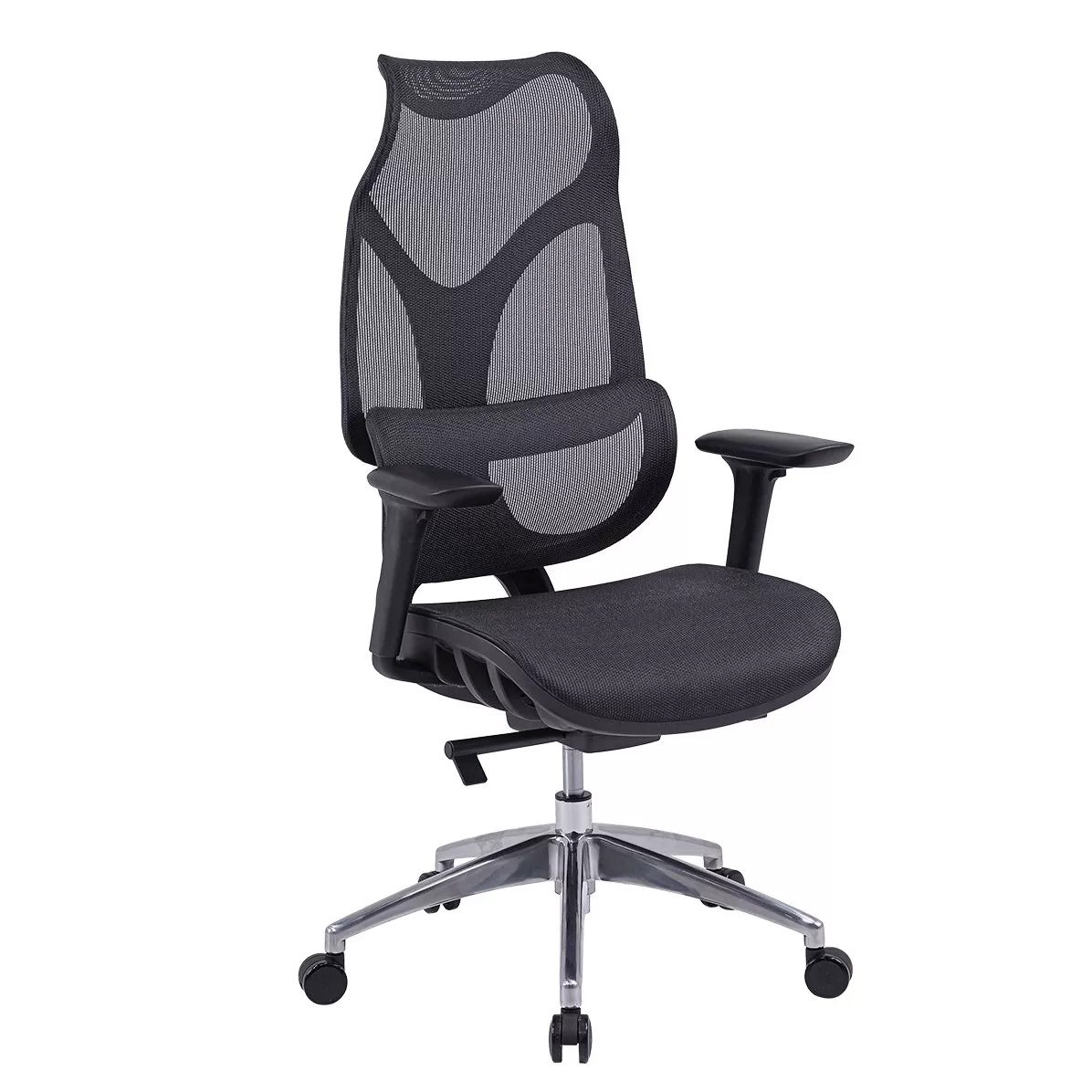 GHẾ CÔNG THÁI HỌC